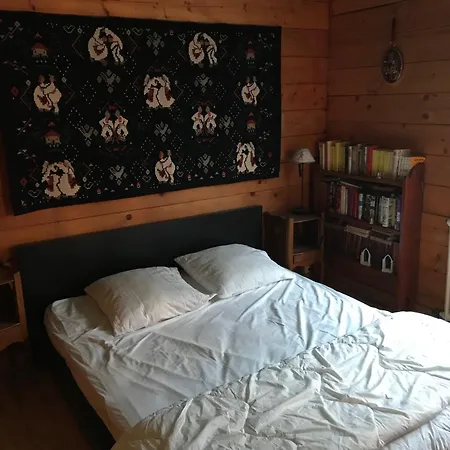 Atypique Pres Des Pistes, 9 Pers., Sculptures Uniques - Fr-1-814-49 Chalet Besse-et-Saint-Anastaise