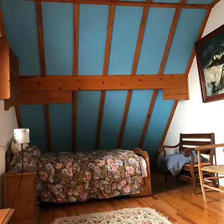 Atypique Pres Des Pistes, 9 Pers., Sculptures Uniques - Fr-1-814-49 * Besse-et-Saint-Anastaise