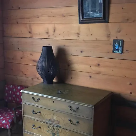 Atypique Pres Des Pistes, 9 Pers., Sculptures Uniques - Fr-1-814-49 * Besse-et-Saint-Anastaise