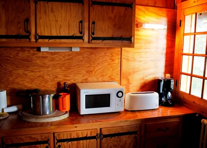 Atypique Pres Des Pistes, 9 Pers., Sculptures Uniques - Fr-1-814-49 Super Besse