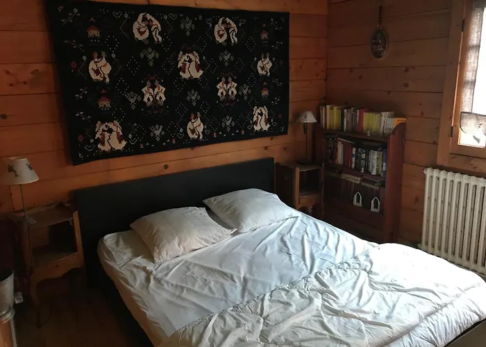 Atypique Pres Des Pistes, 9 Pers., Sculptures Uniques - Fr-1-814-49 Chalet Super Besse