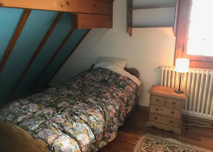 Atypique Pres Des Pistes, 9 Pers., Sculptures Uniques - Fr-1-814-49 Super Besse